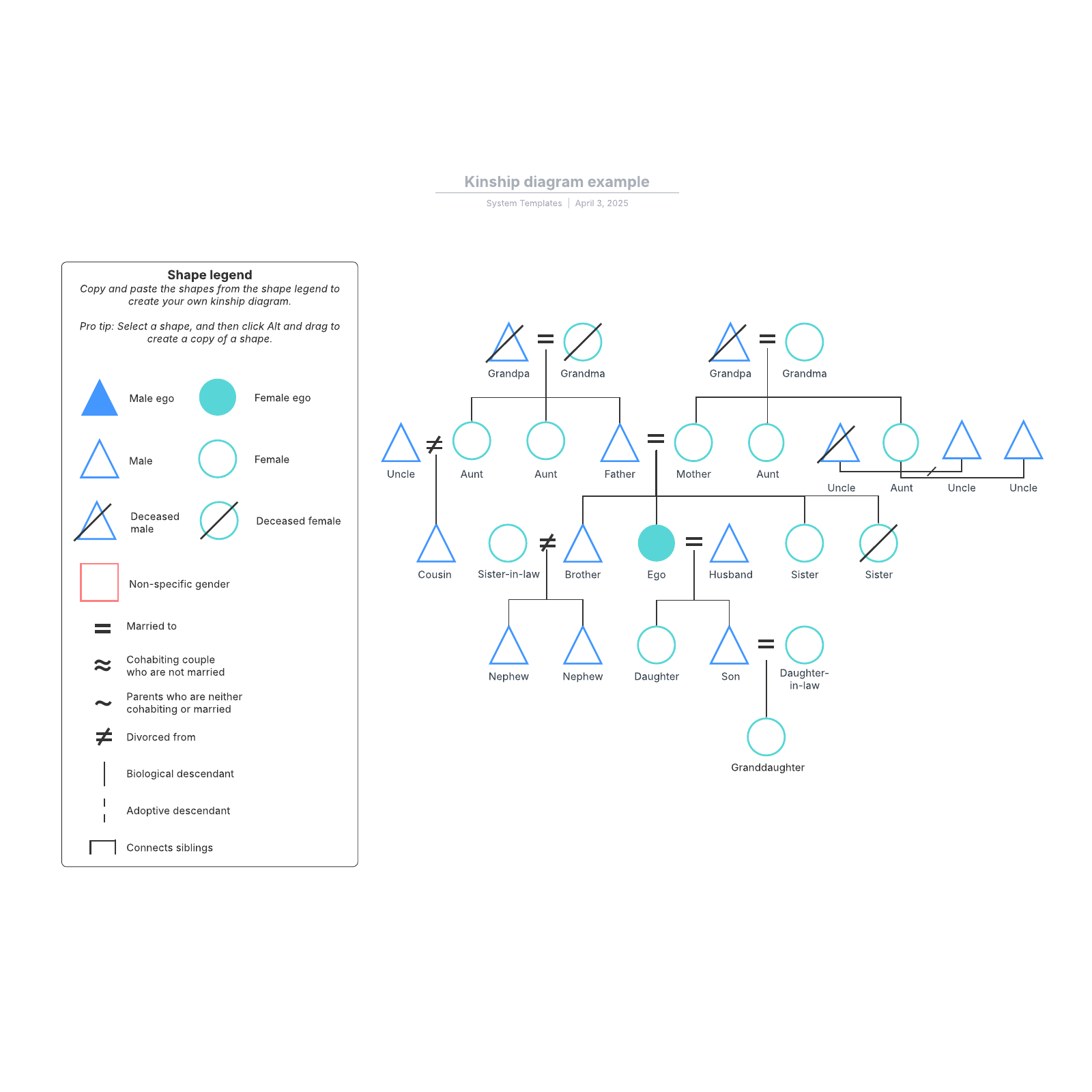 Kinship diagram example Lucidchart