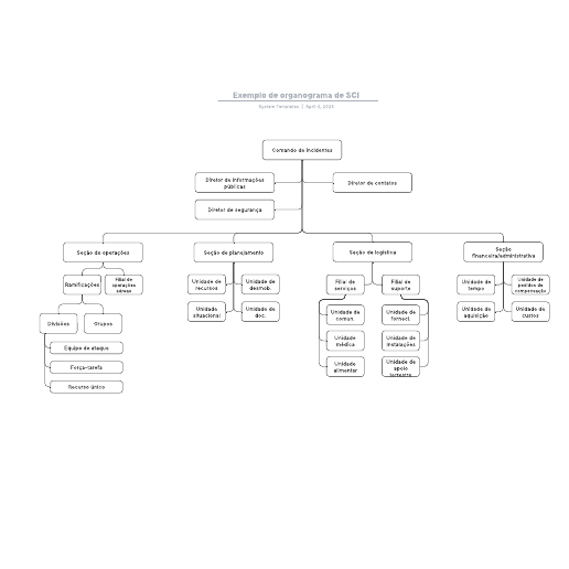 Modelo de organograma funcional