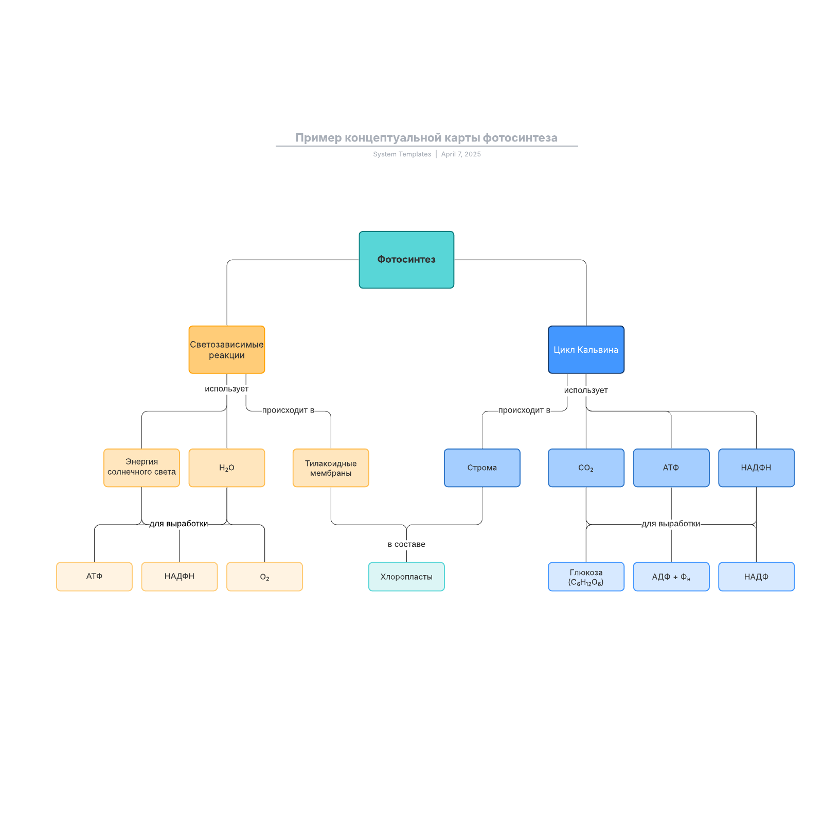 Пример концептуальной карты фотосинтеза example