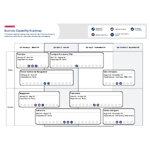 Business Capability Roadmap