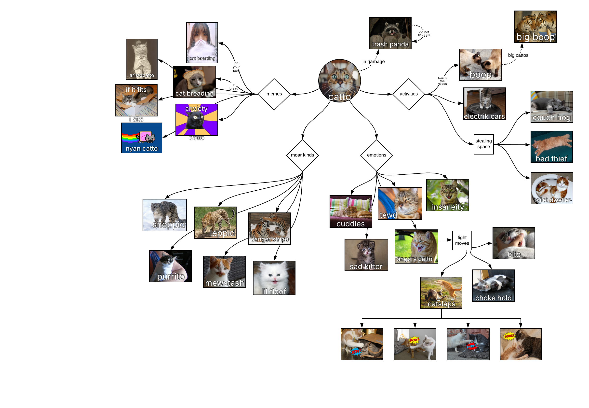 This cattos chart can help you:

- See how cattos are related to one another.
- Access the original catto diagram featured in Lucidchart's Youtube channel.
- Have fun with Lucidchart.

Open this cattos chart and add content to customize it to your use case.