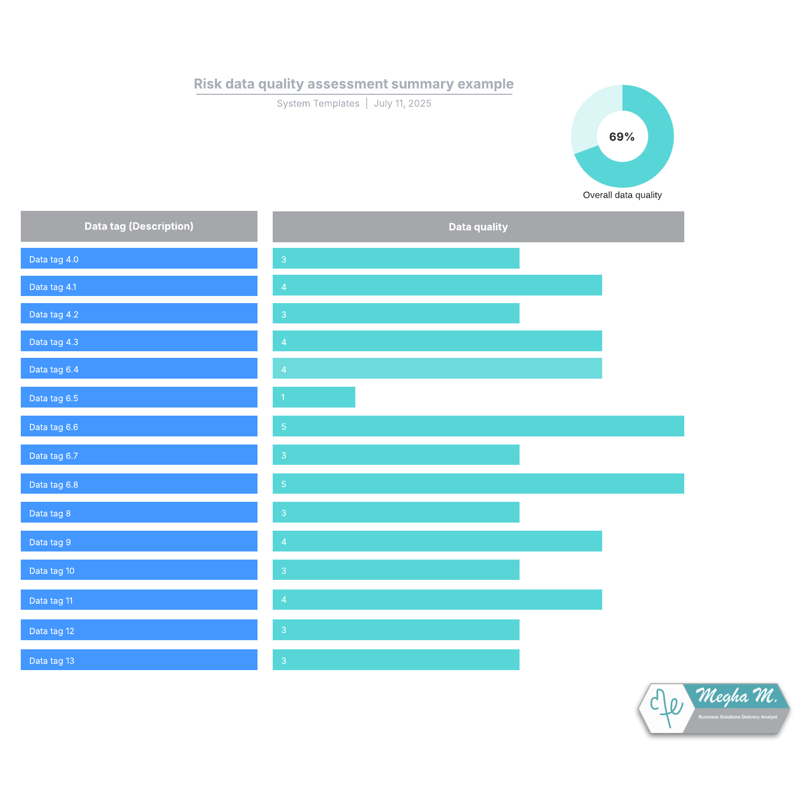 Risk data quality assessment summary example example