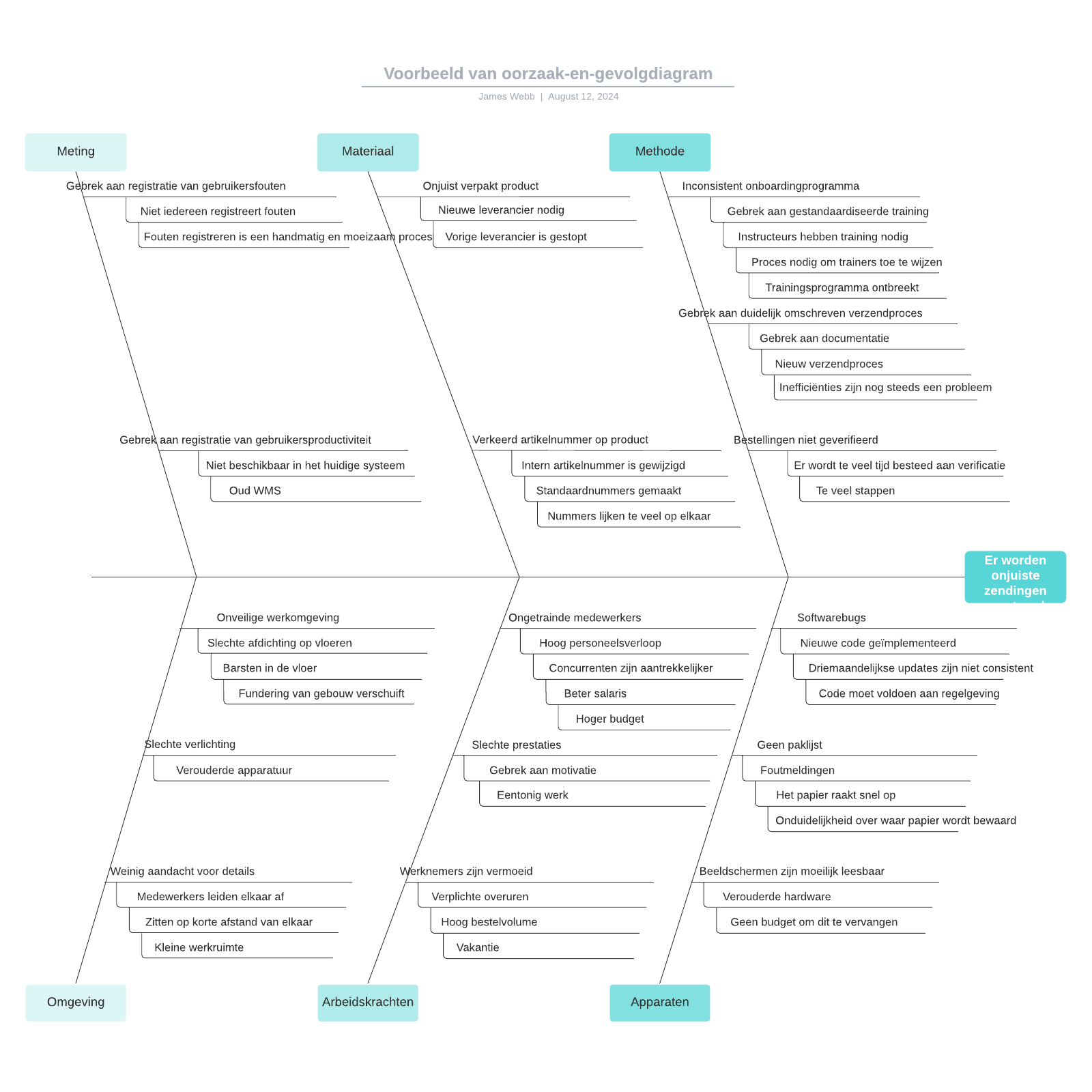 Voorbeeld van oorzaak-en-gevolgdiagram example