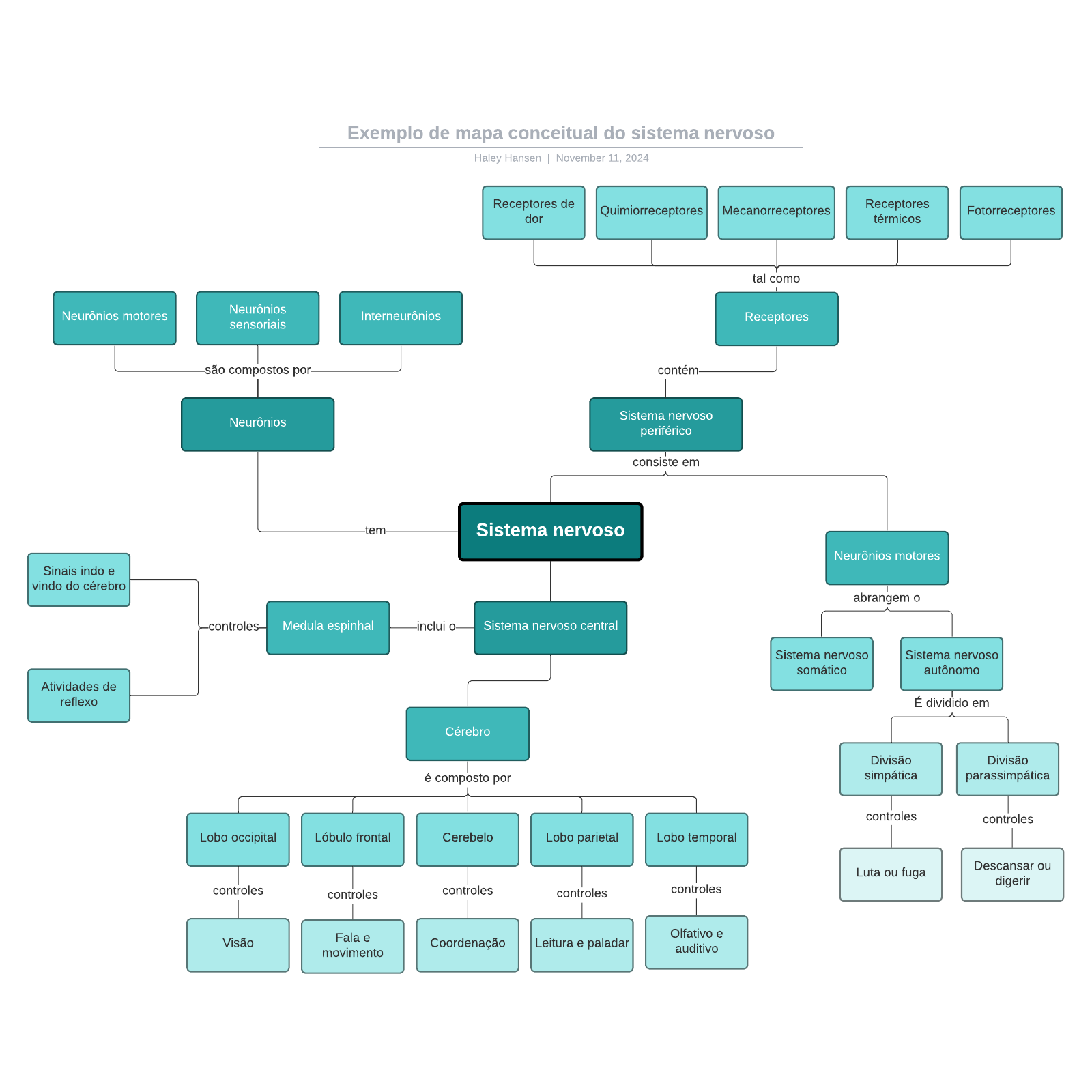 Exemplo De Mapa Conceitual Do Sistema Nervoso | Lucidchart