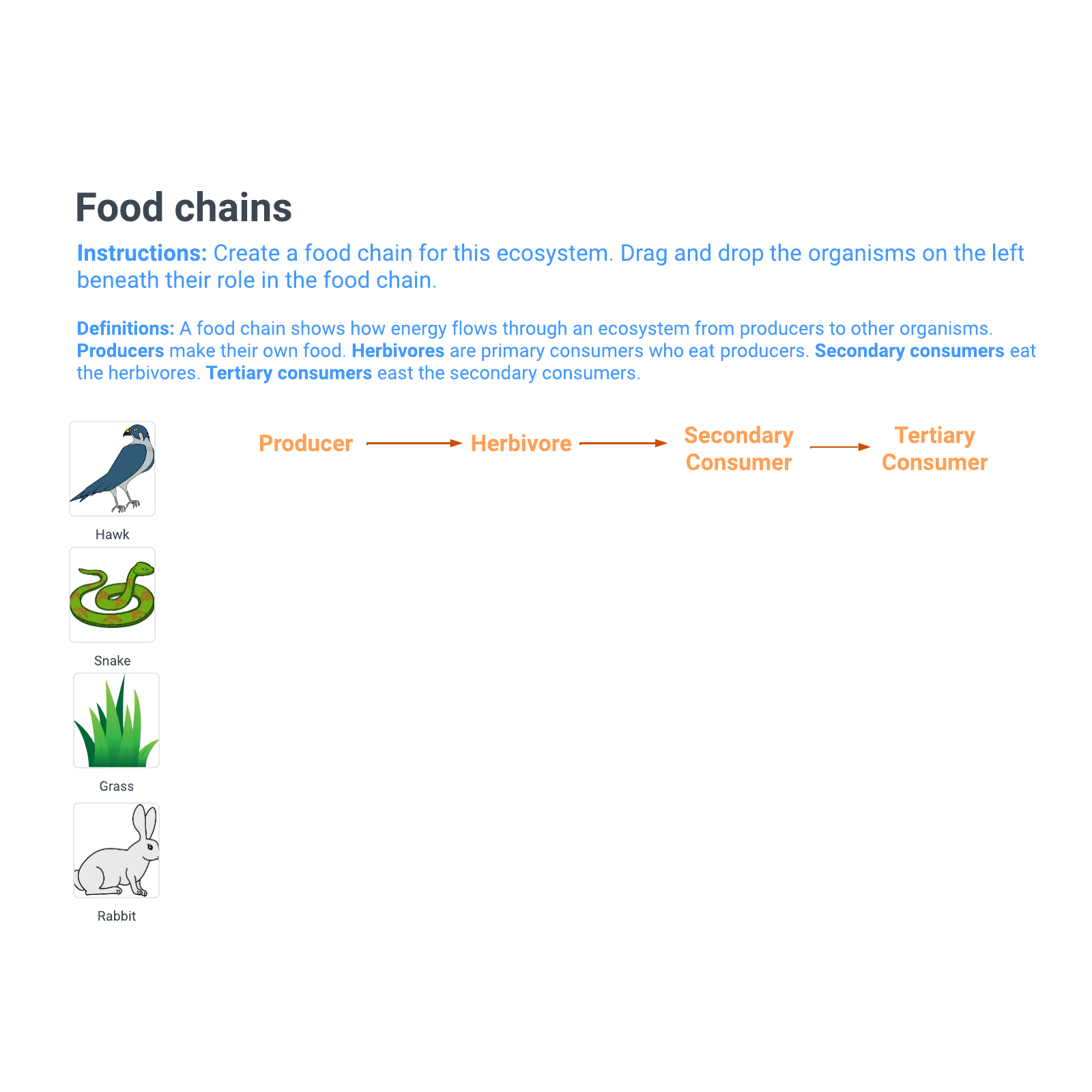 Food Chain: Create Your Own example