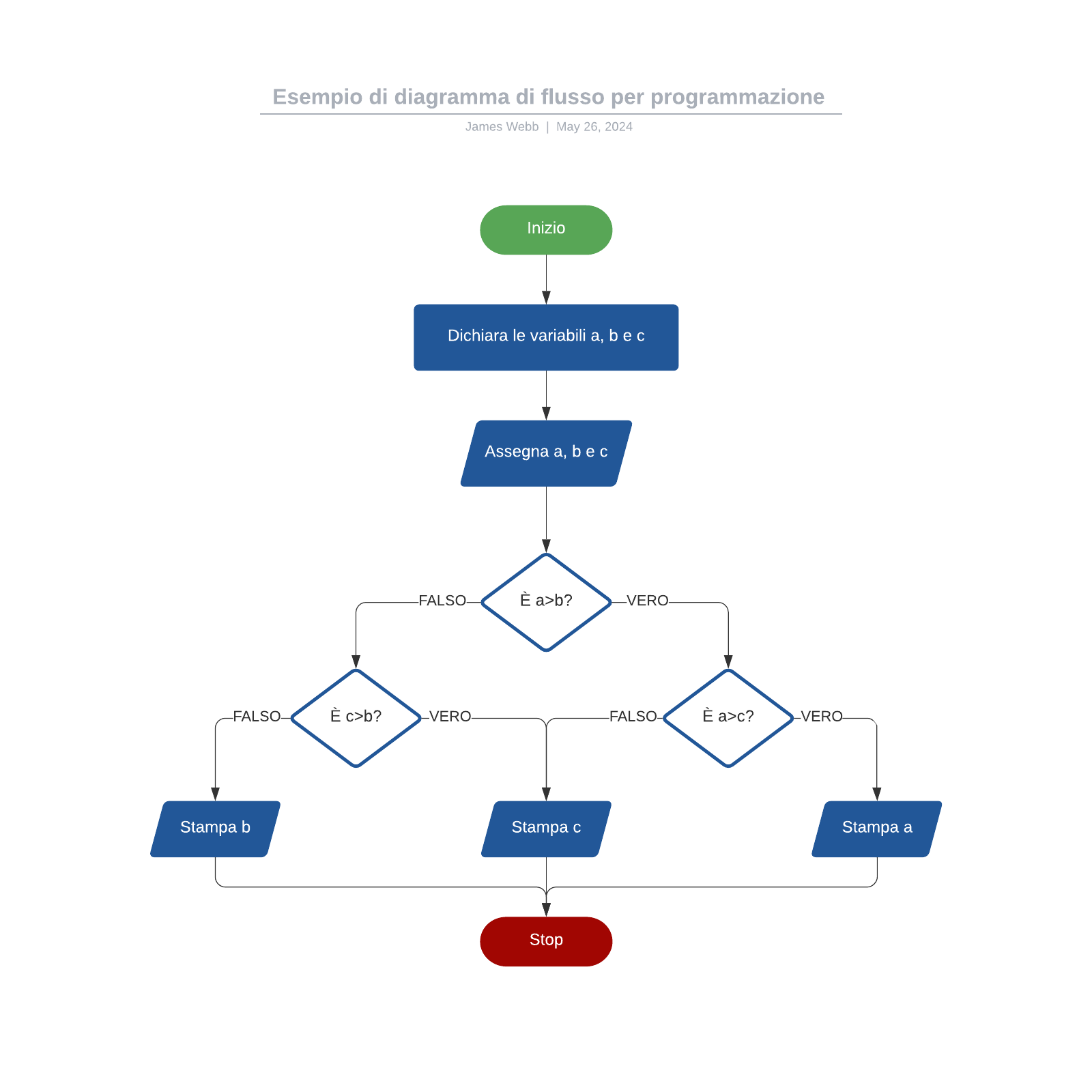 Esempio di diagramma di flusso per programmazione example