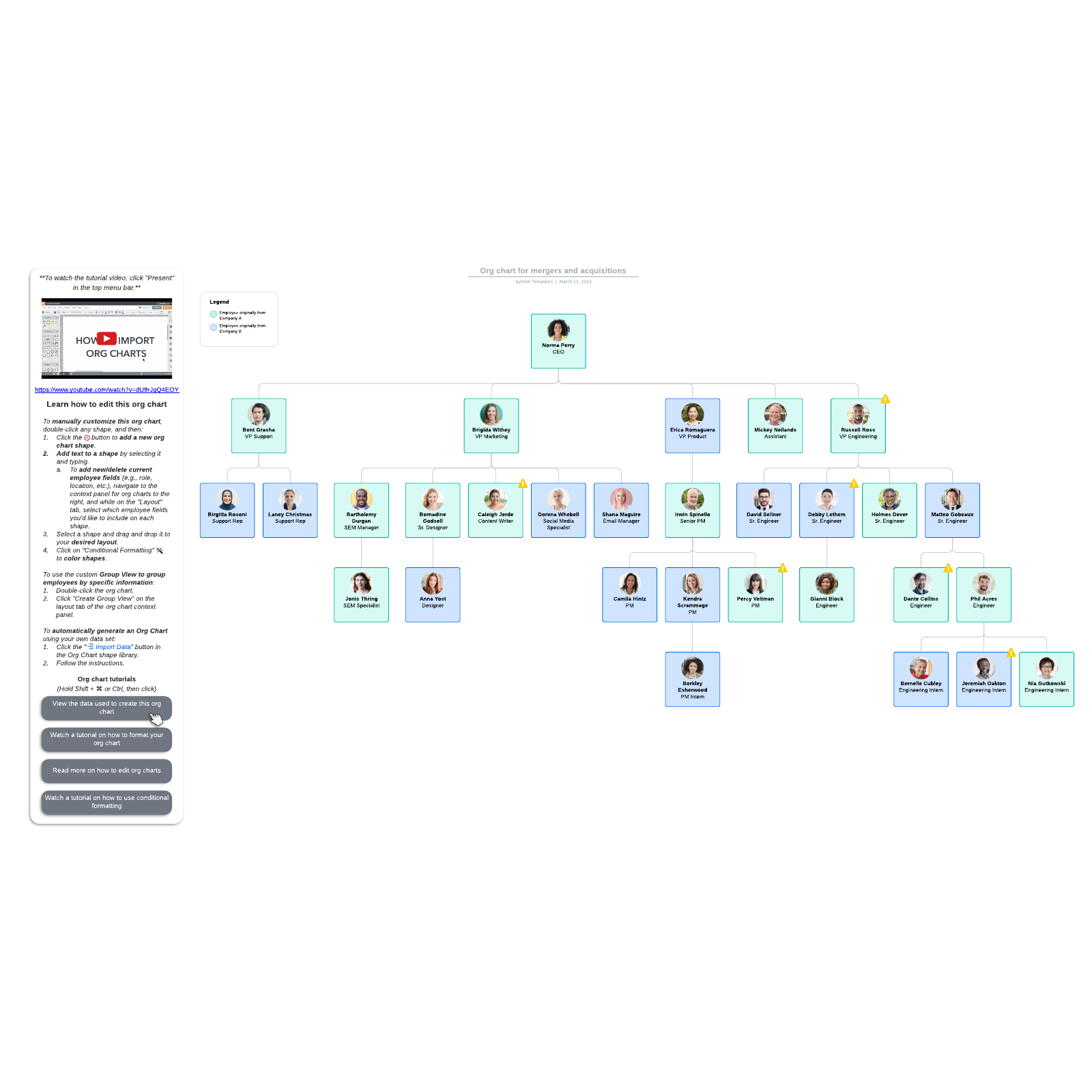 Org chart for mergers and acquisitions example