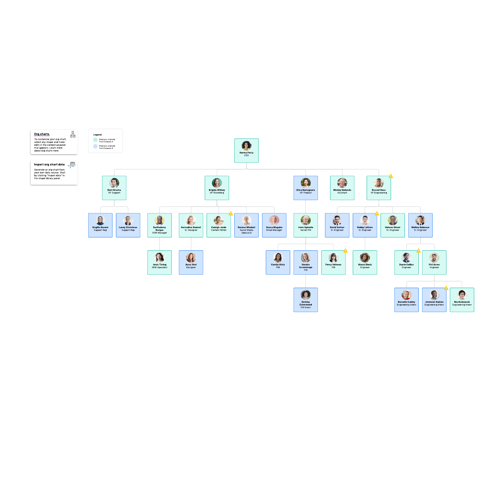 Org chart for mergers and acquisitions example