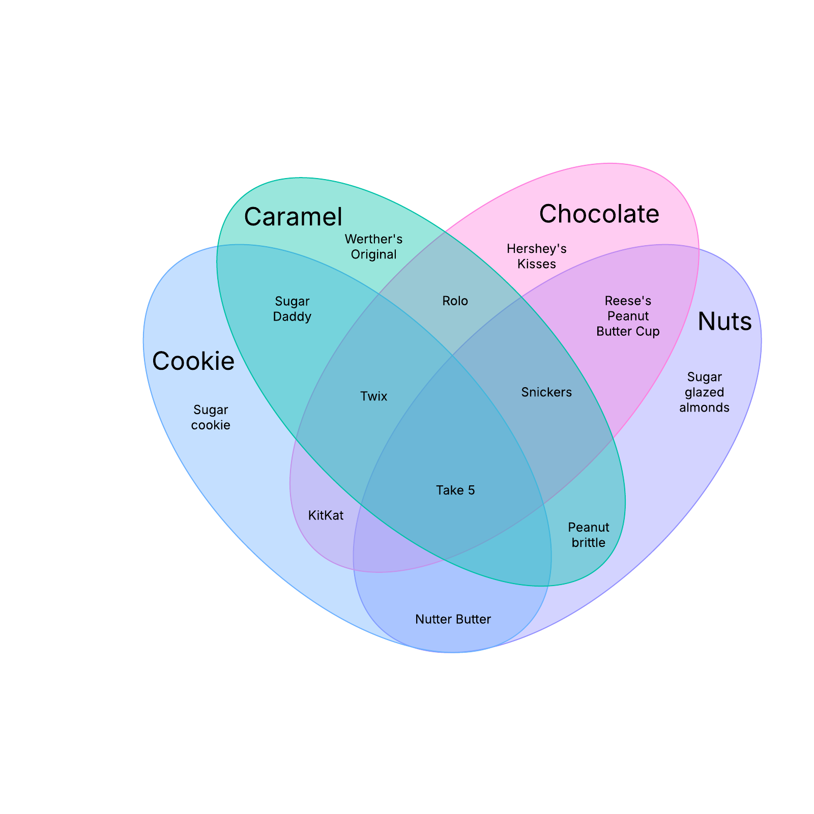 4 Sets Venn Diagram Template