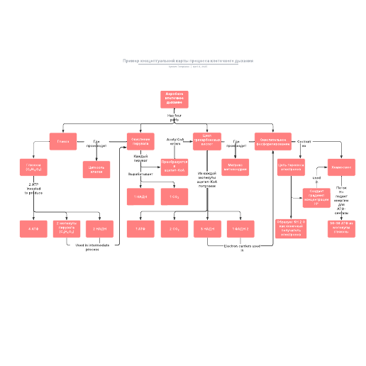 Go to Пример концептуальной карты процесса клеточного дыхания template