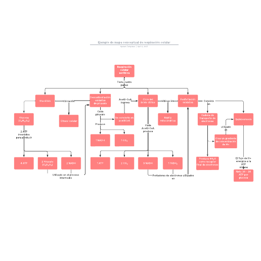 Ejemplo de mapa conceptual de respiración celular