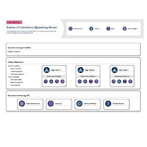 Center of excellence operating model