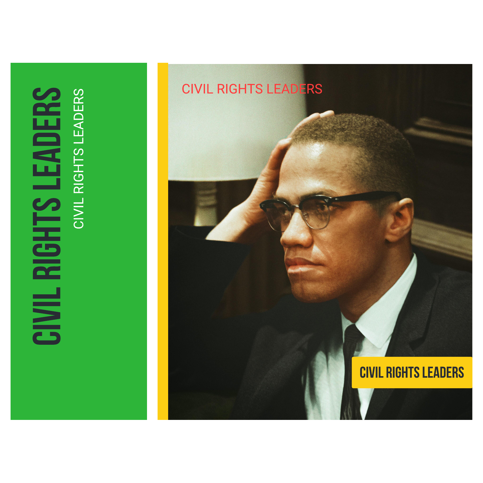 Civil rights leaders book  example