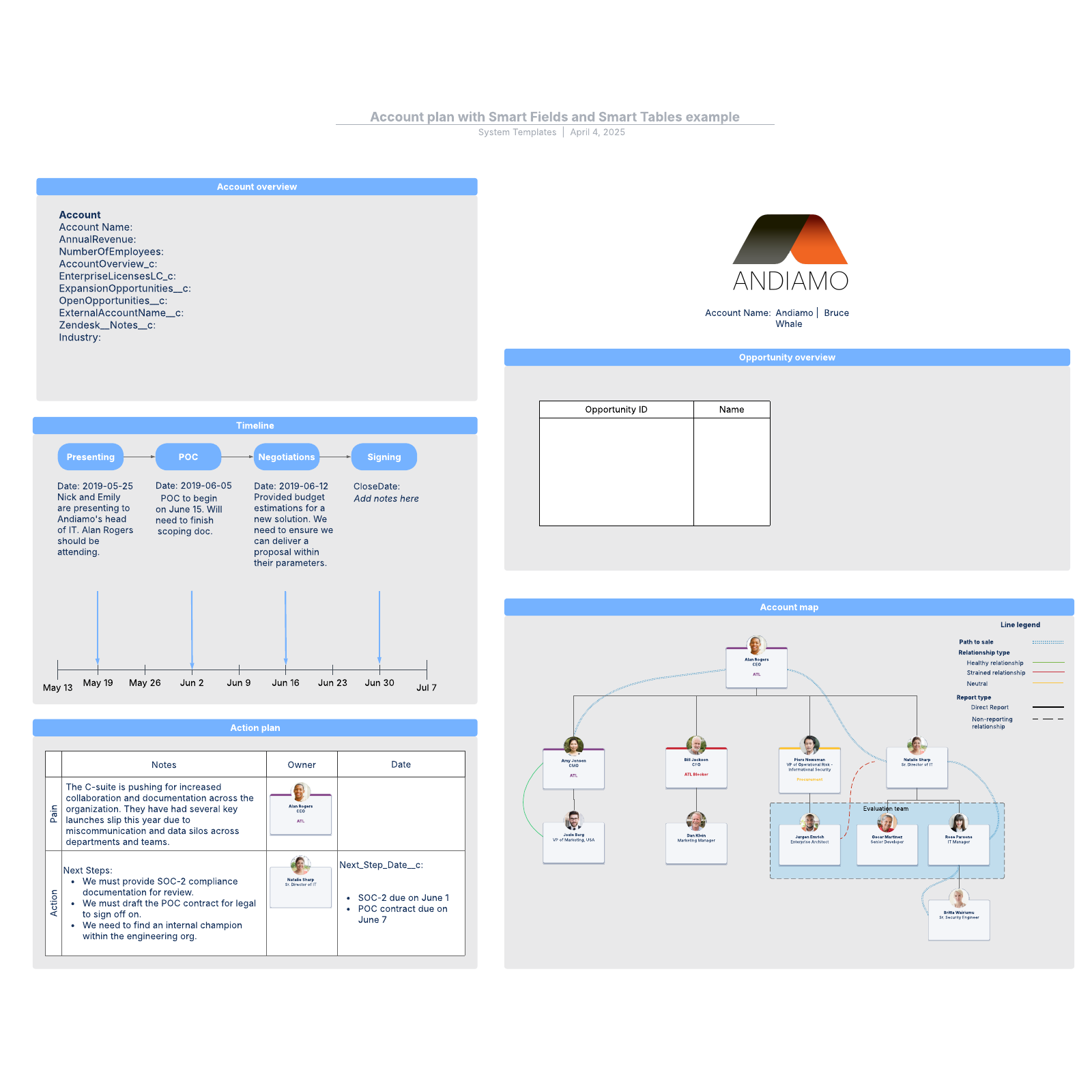 Account plan with Smart Fields and Smart Tables example example