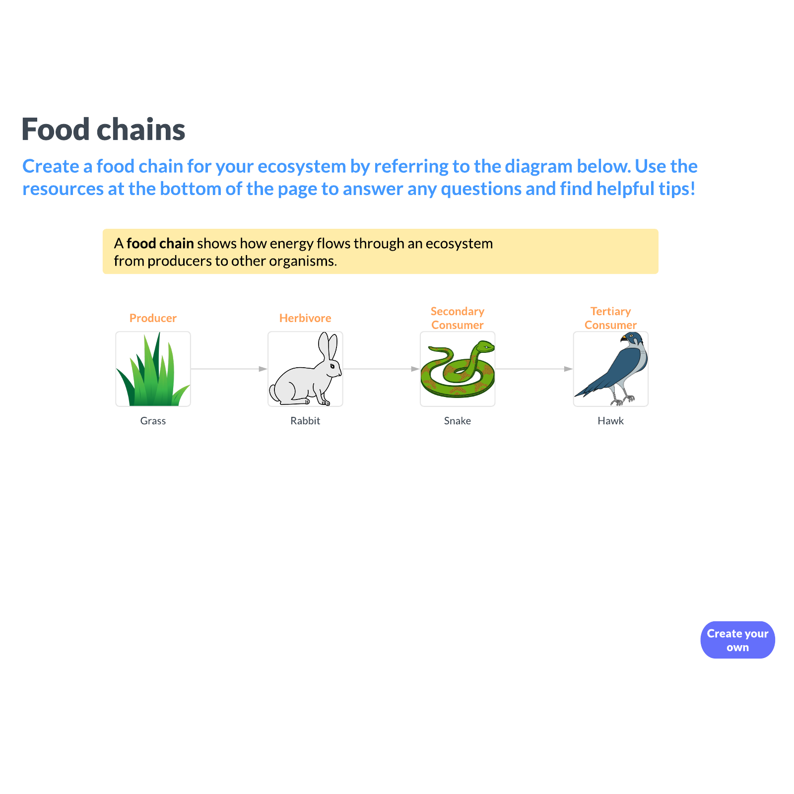 Food chains example