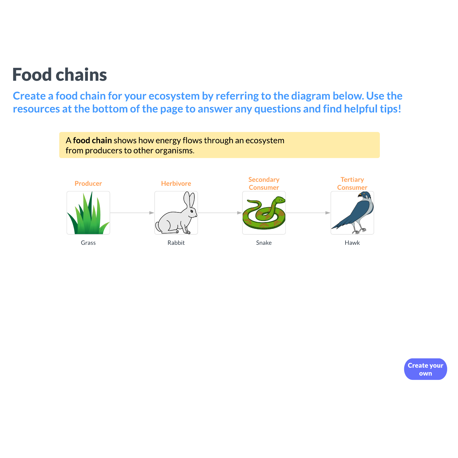 Food chains Lucidchart