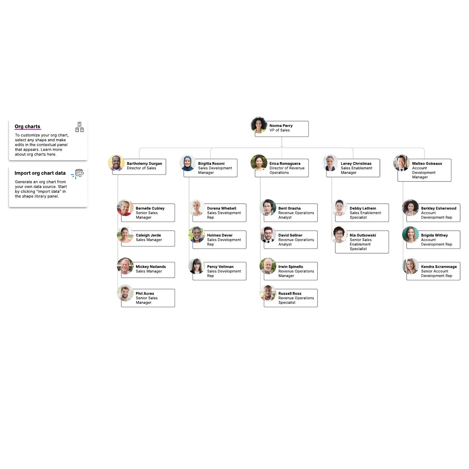 Sales org chart example example