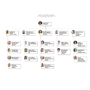 Sales org chart example | Lucidchart