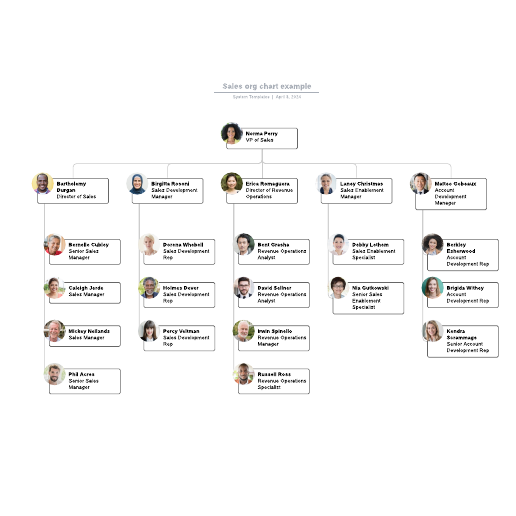 Go to Sales org chart example template