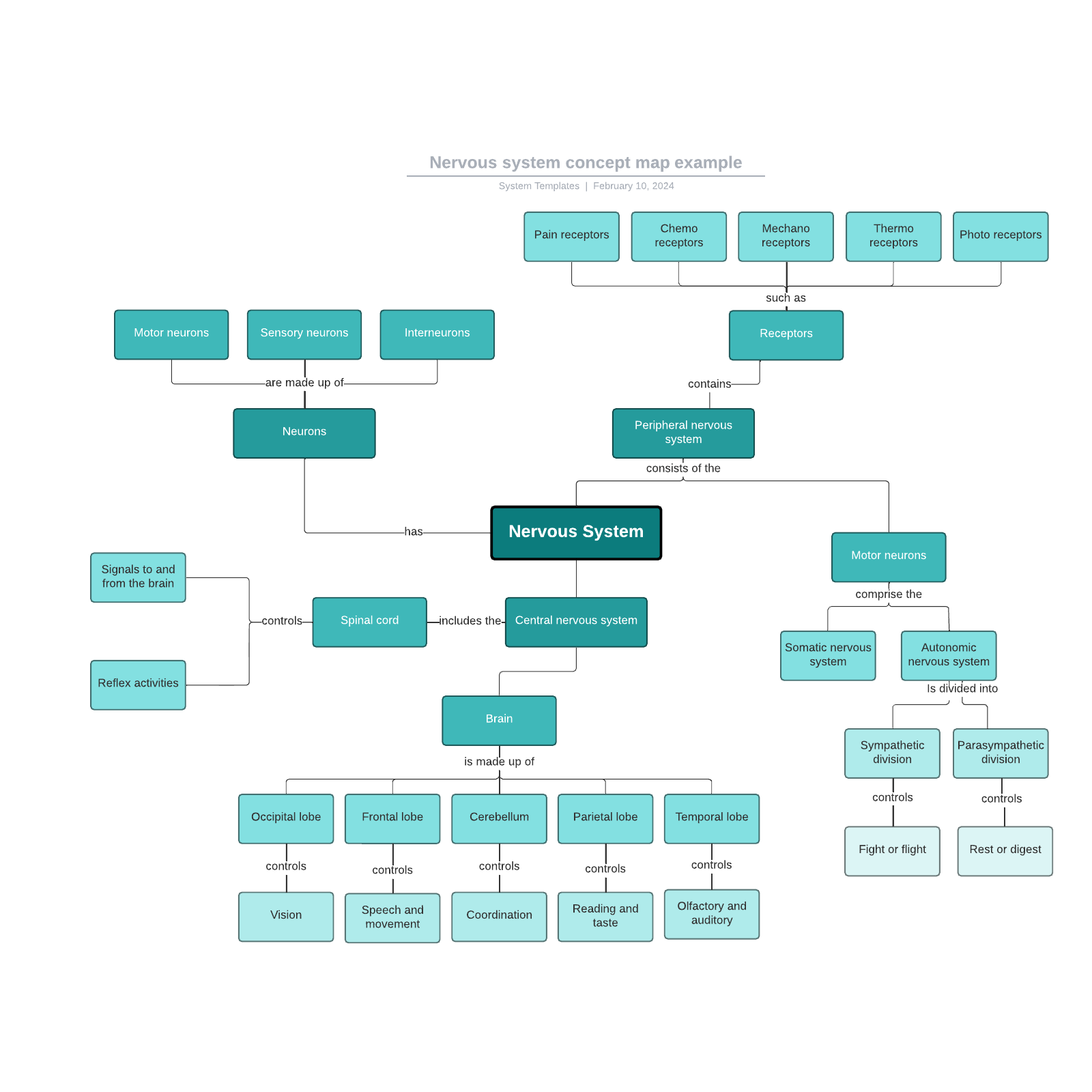 Nervous system concept map example example