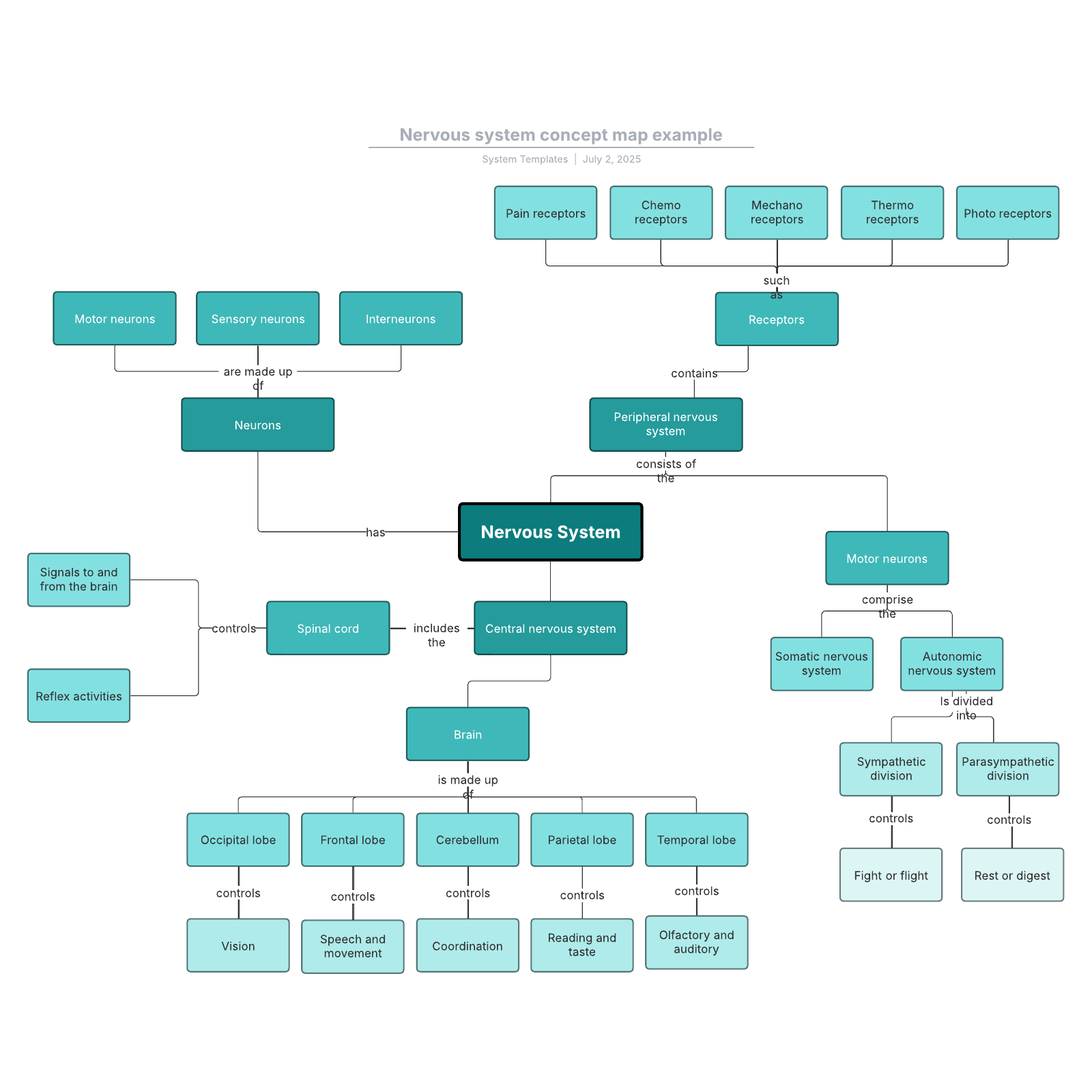 Nervous system concept map example example