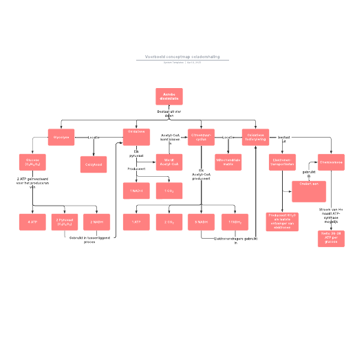 Go to Voorbeeld conceptmap celademhaling template