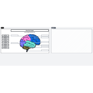 Human brain diagram | Lucidedu