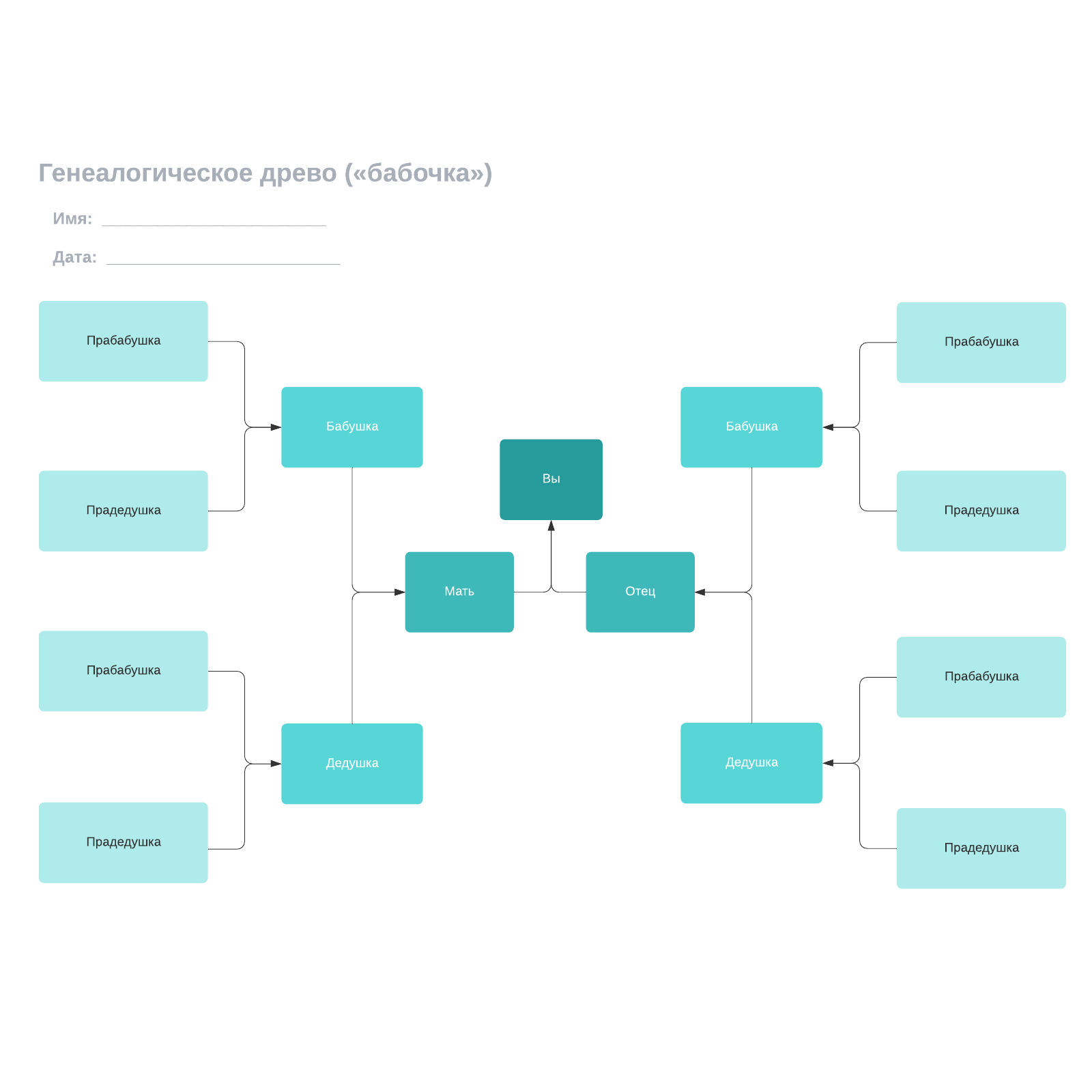 Генеалогическое древо («бабочка») example