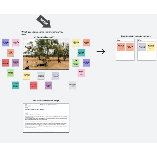 Go to Lucidspark discovery board example template