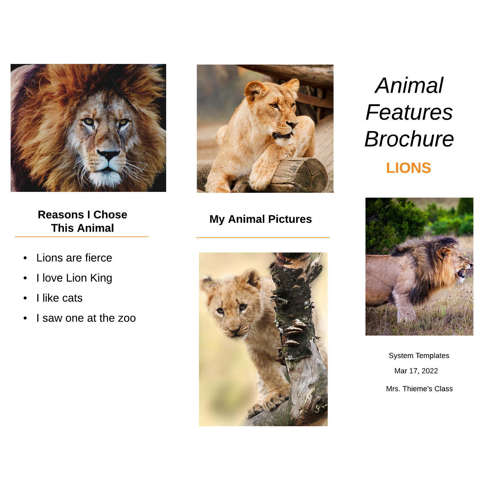 Animal Features Brochure example