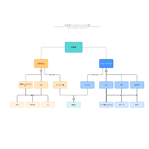 光合成コンセプトマップ（概念図）の例