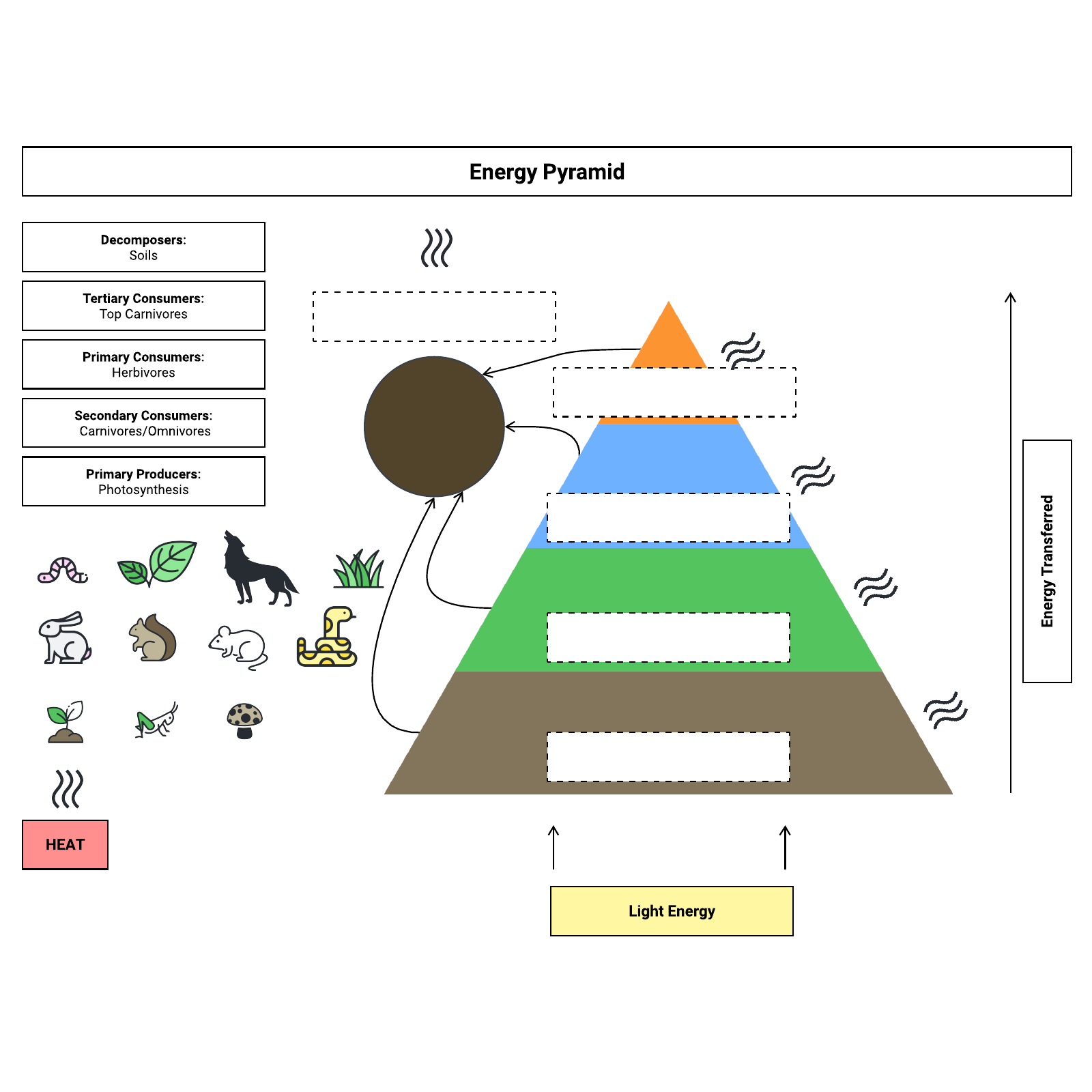 Eco System Energy Flow Pyramid Lucidchart   1600