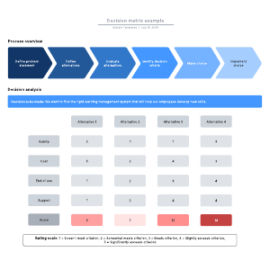 Decision matrix example