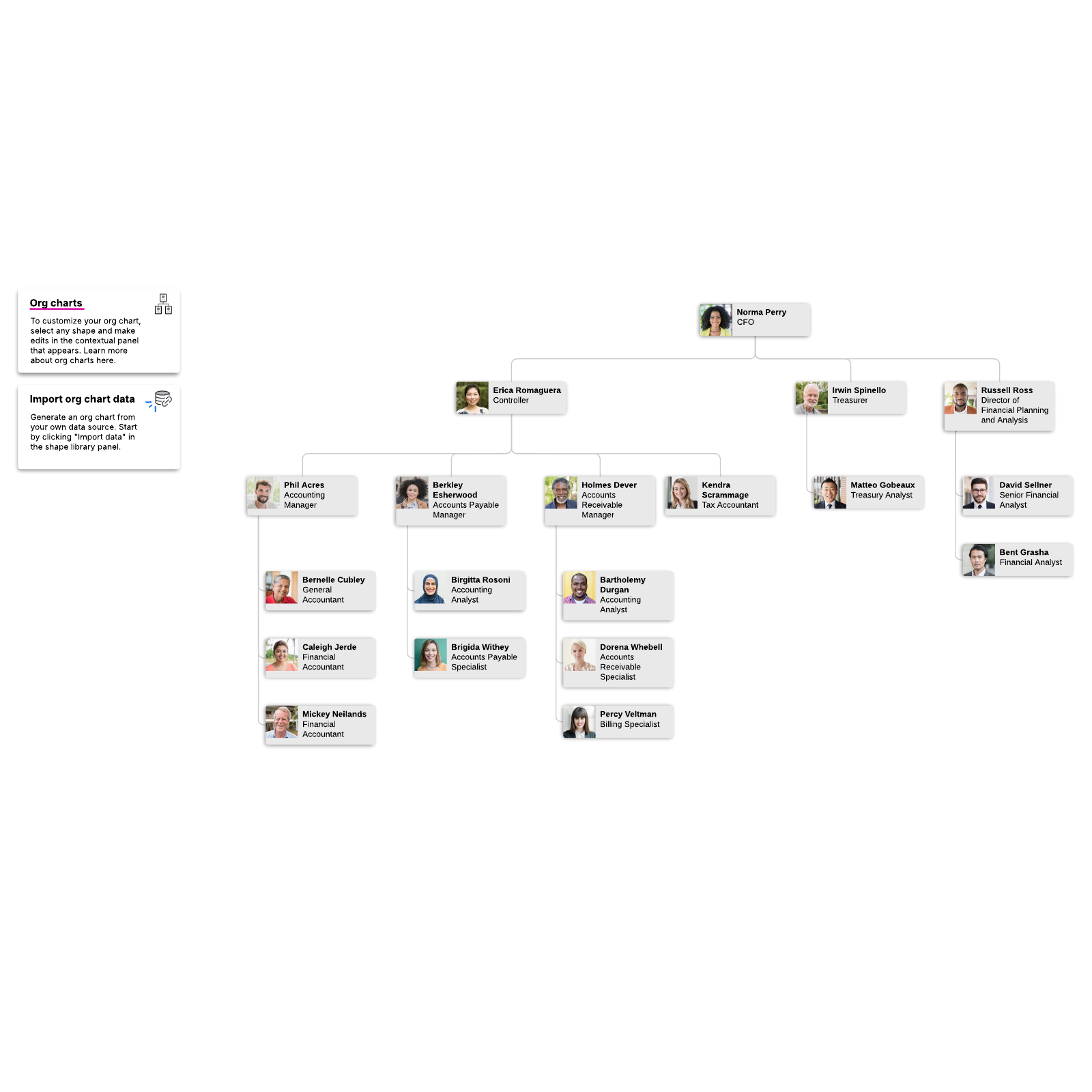 Accounting org chart example example