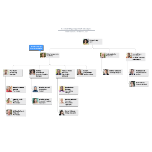 Accounting org chart example | Lucidchart