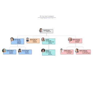 IT org chart example