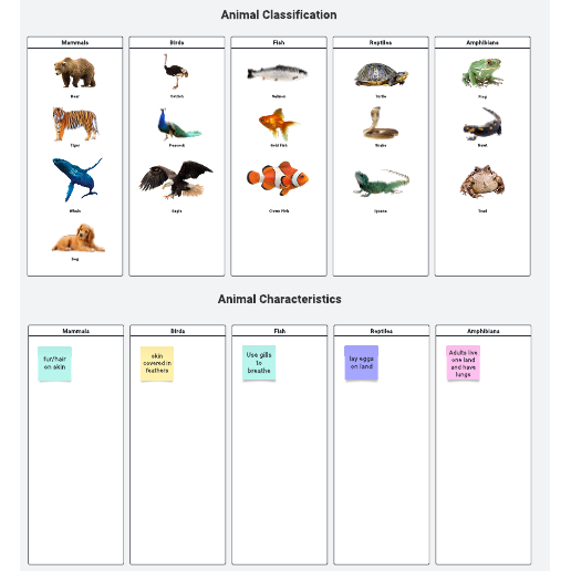 Animal Traits for Classification - Graphic Organizer