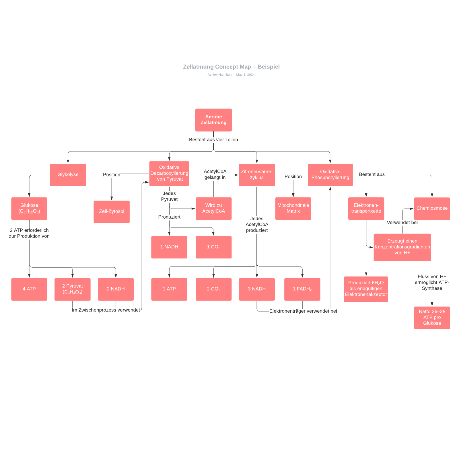 Concept Map Beispiel - Zellatmung