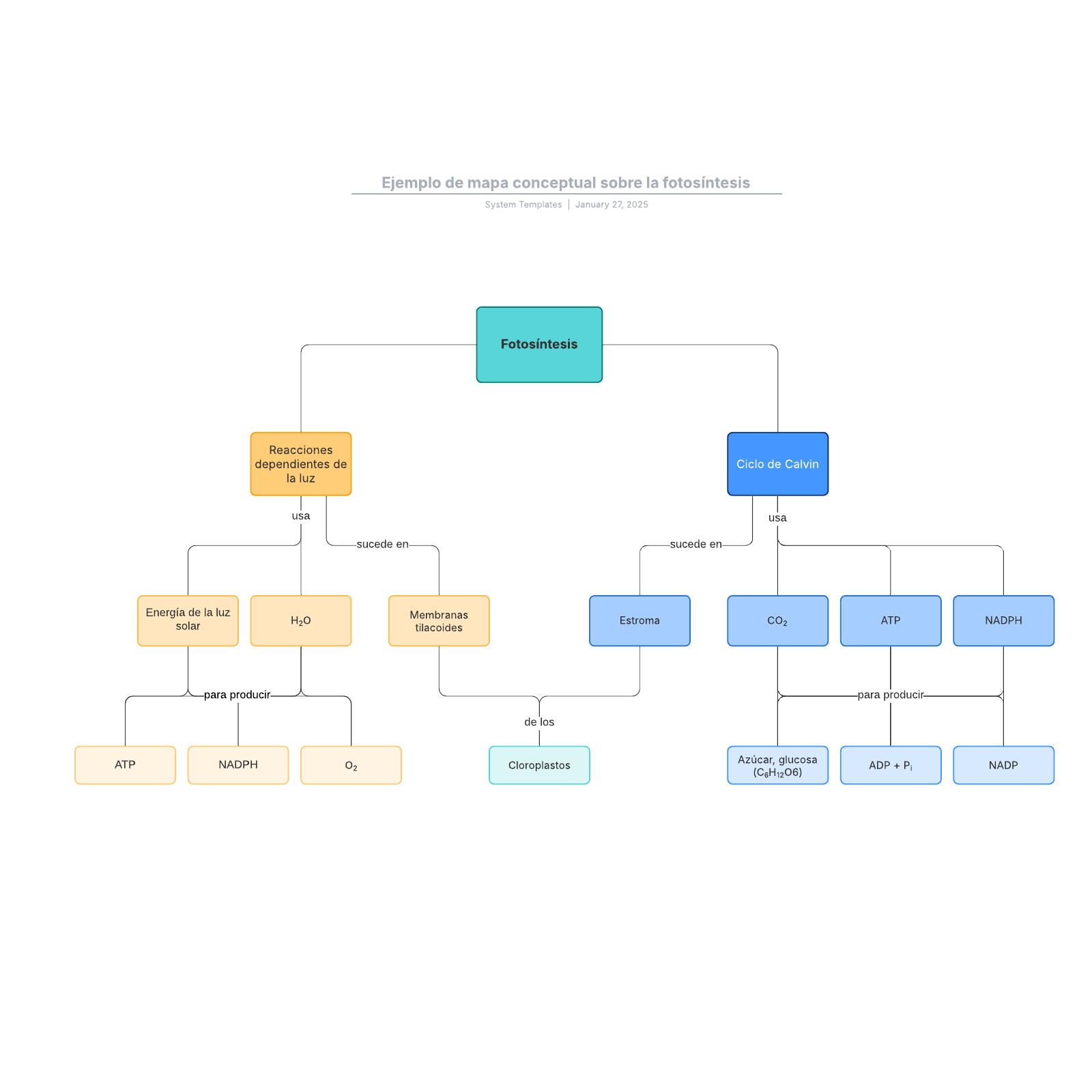 Ejemplo de mapa conceptual sobre la fotosíntesis