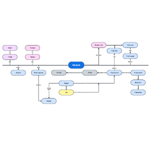 Student experience process