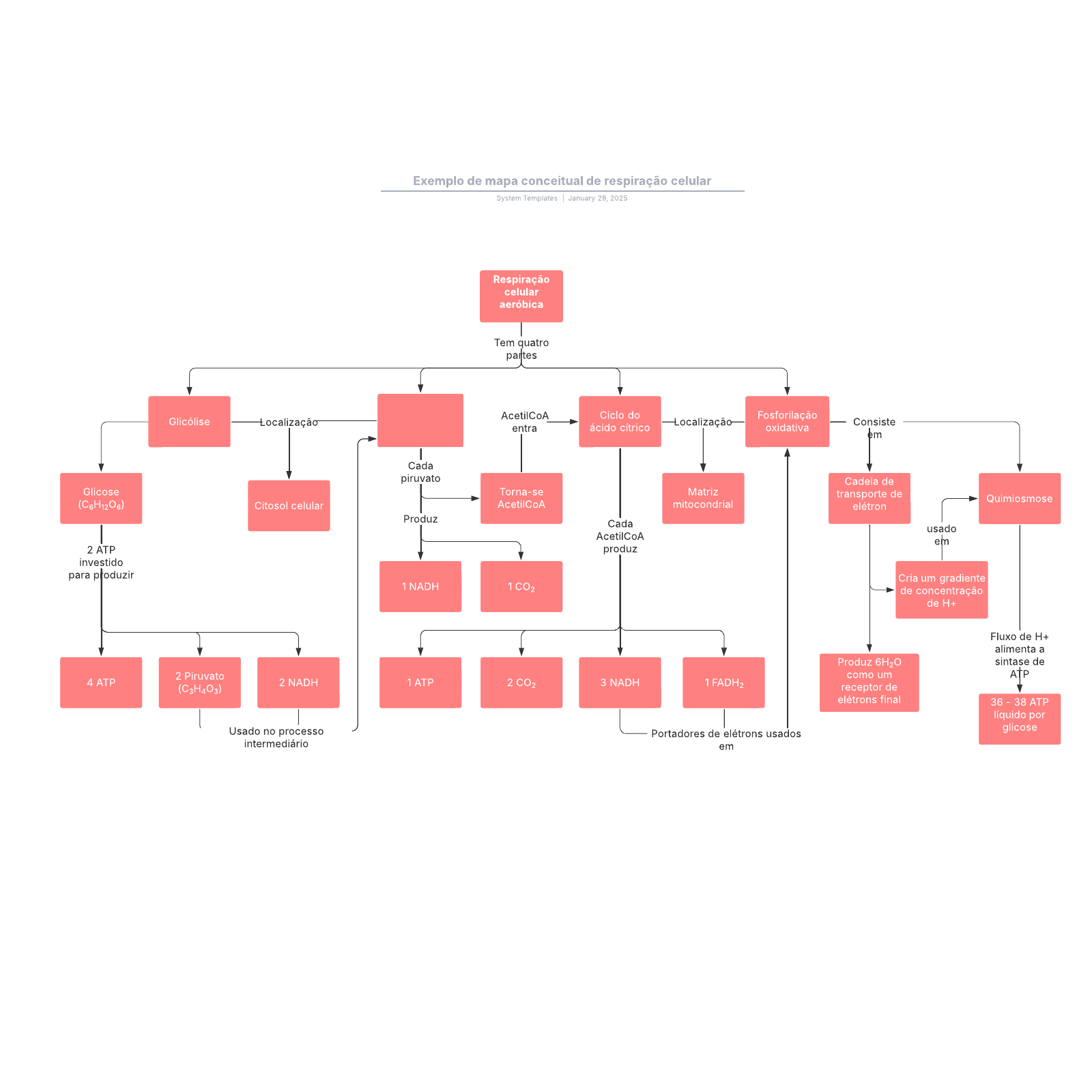 Exemplo de mapa conceitual de respiração celular example