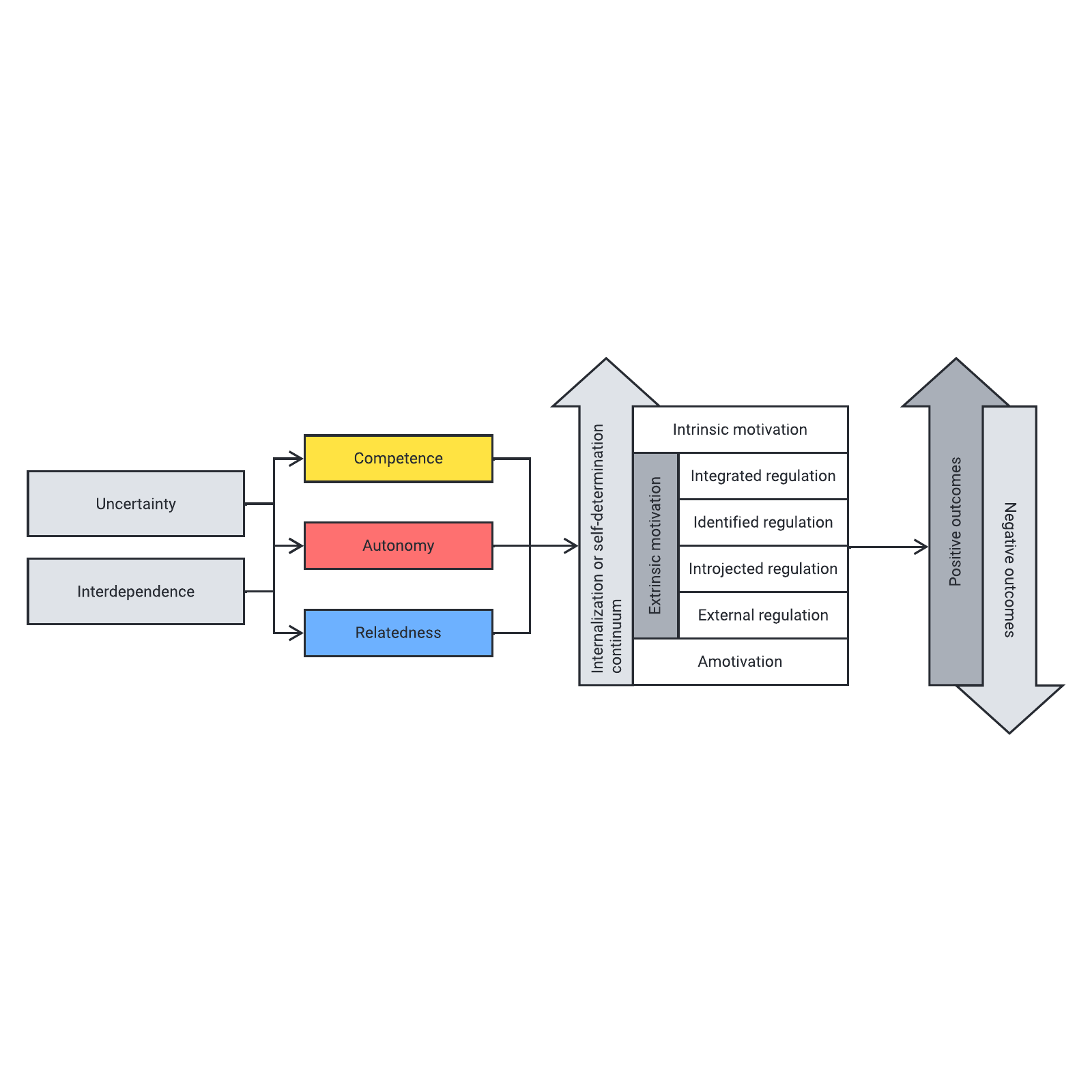 Self-determination theory example