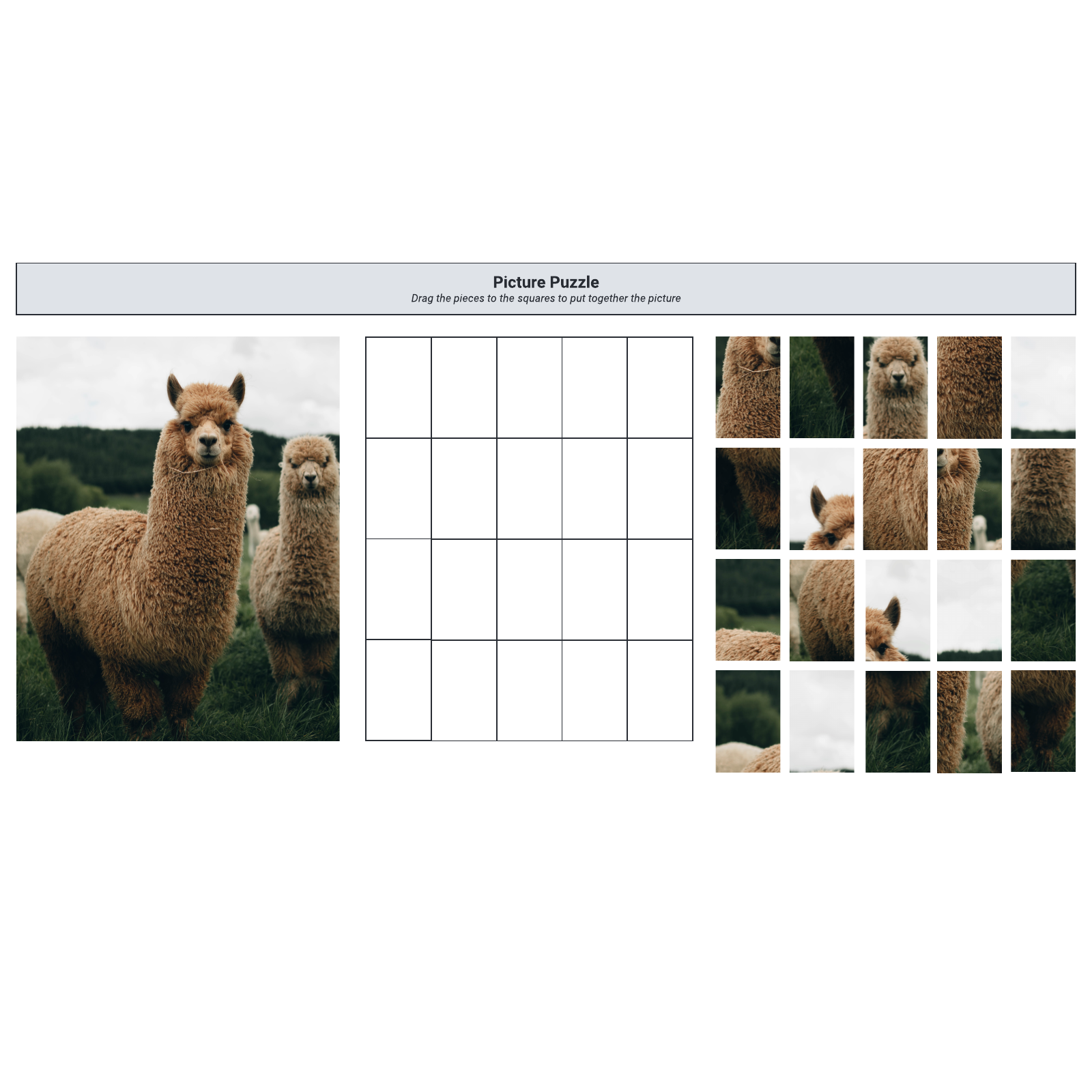 Llama picture puzzle example