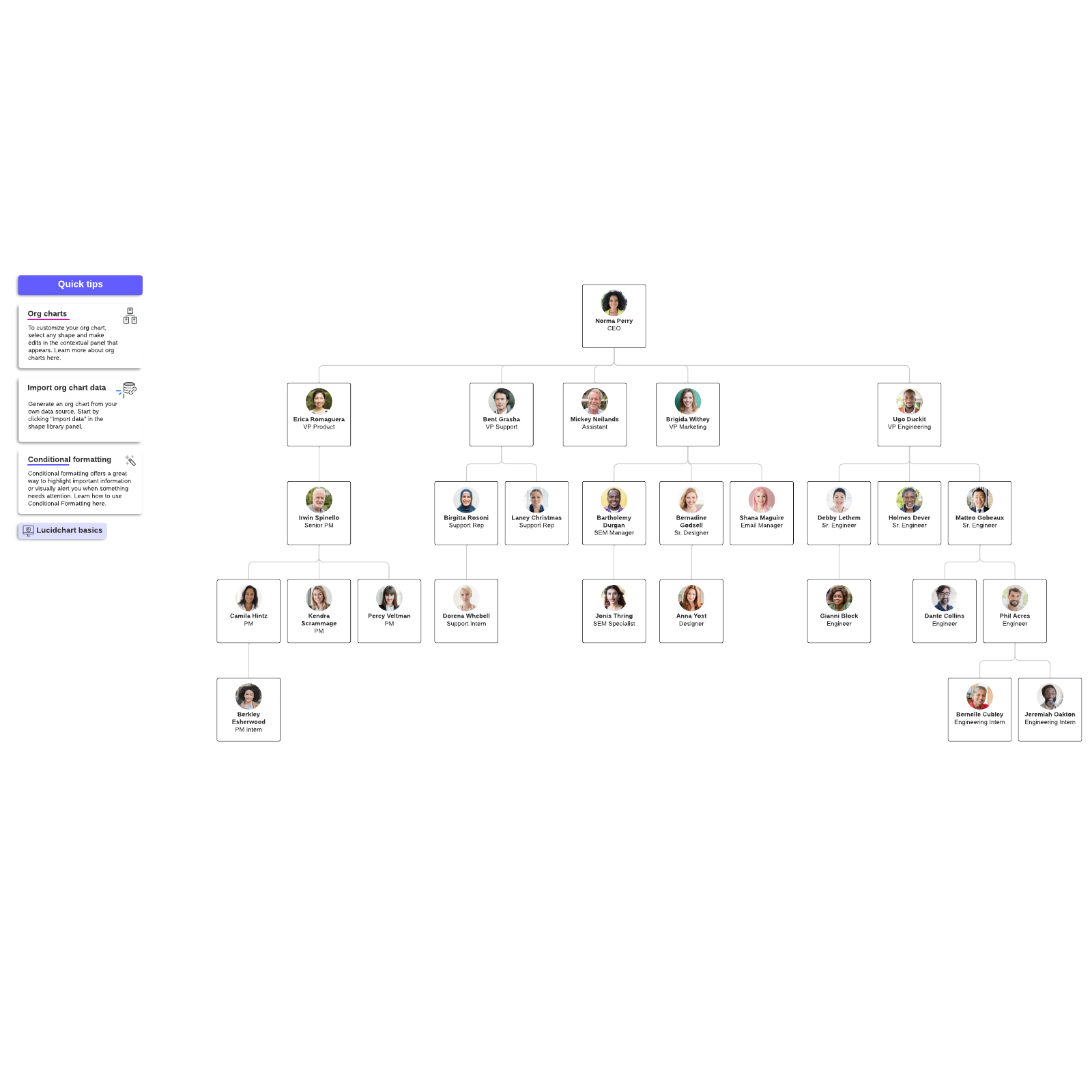 Org chart example example