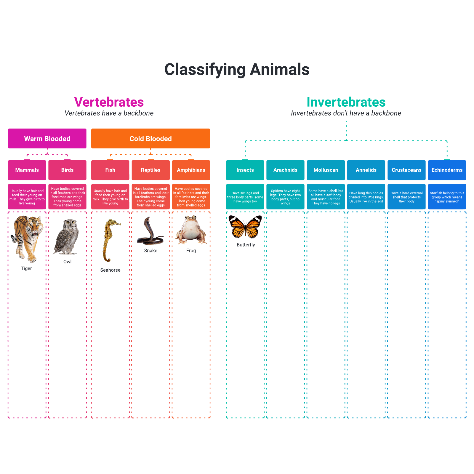 Classifying animals example