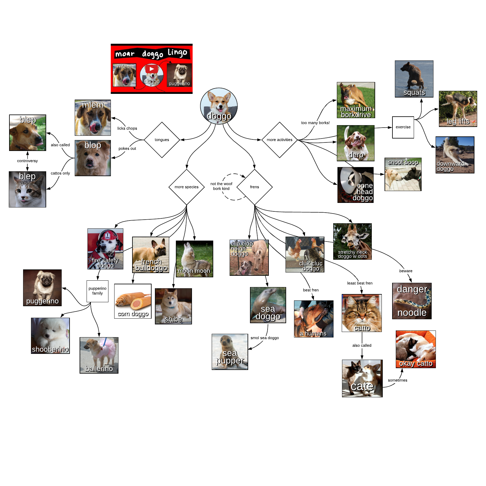 Doggo diagram 2 example