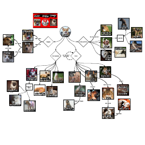 Doggo diagram 2