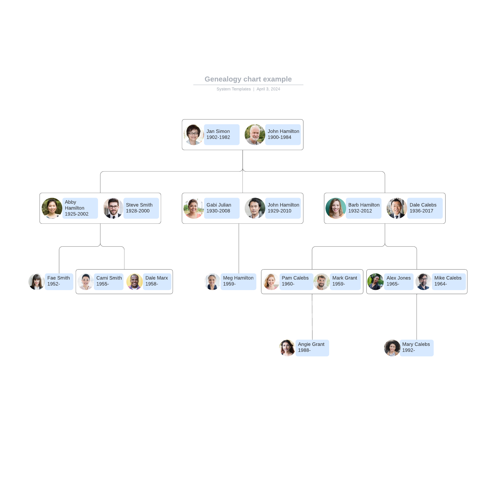 Genealogy chart example example