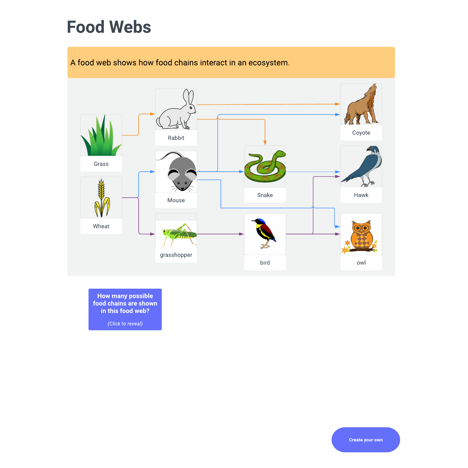 Food Web: Create Your Own example