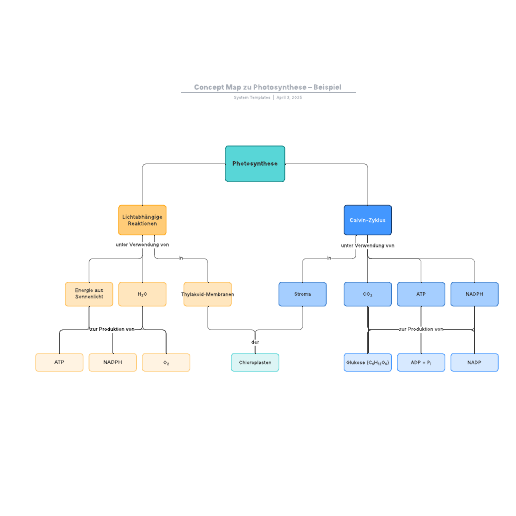 Concept Map Beispiel - Photosynthese